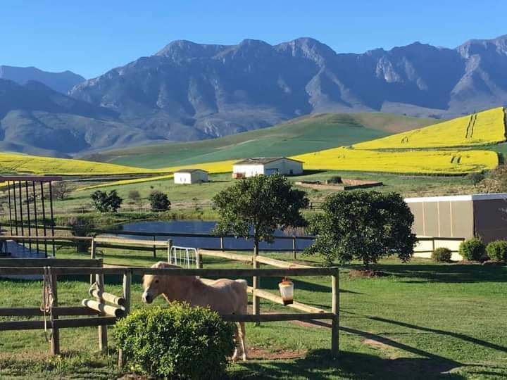 3 Bedroom Property for Sale in Bredasdorp Western Cape